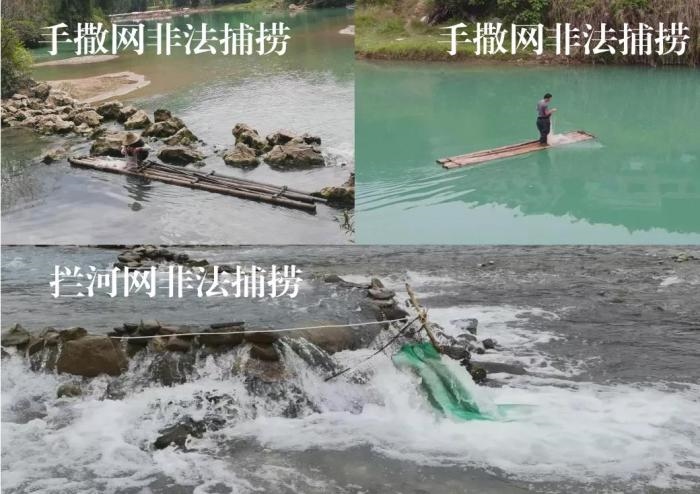 2021年9—10月，前期暗查發(fā)現(xiàn)，保護(hù)區(qū)核心區(qū)內(nèi)非法捕撈行為十分猖獗