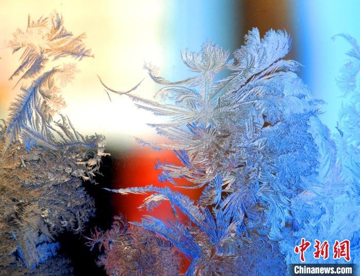 冰窗花千姿百態(tài)?！O書程 攝