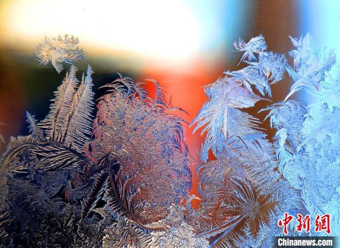 惟妙惟肖的冰窗花，似一幅風(fēng)景畫?！O書程 攝