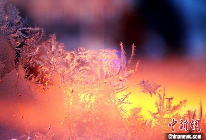 迎著光亮，冰窗花絢麗多姿。　孫書程 攝