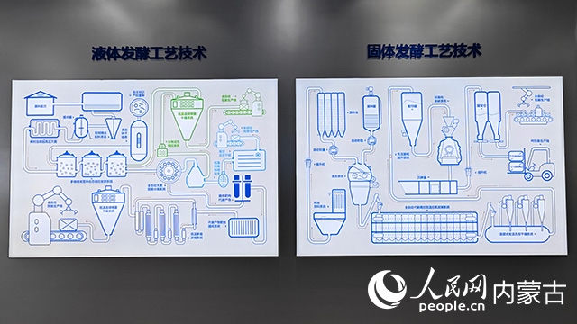 科拓生物工藝技術展示。人民網記者 張雪冬攝