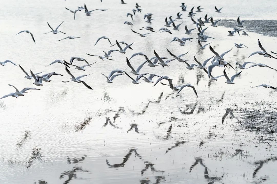 1667657905784770.jpg 微信圖片_20221105221435.jpg