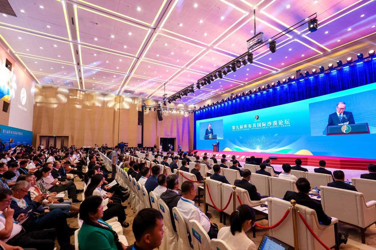 1693038583479718.jpeg 1693038583479718.jpeg