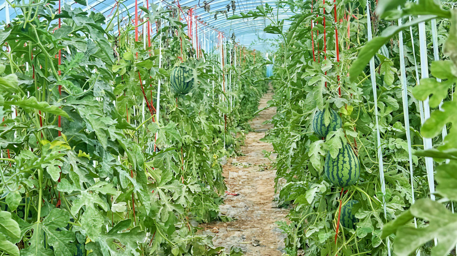 1752649168565738.jpg 微信圖片_20250716144452.jpg