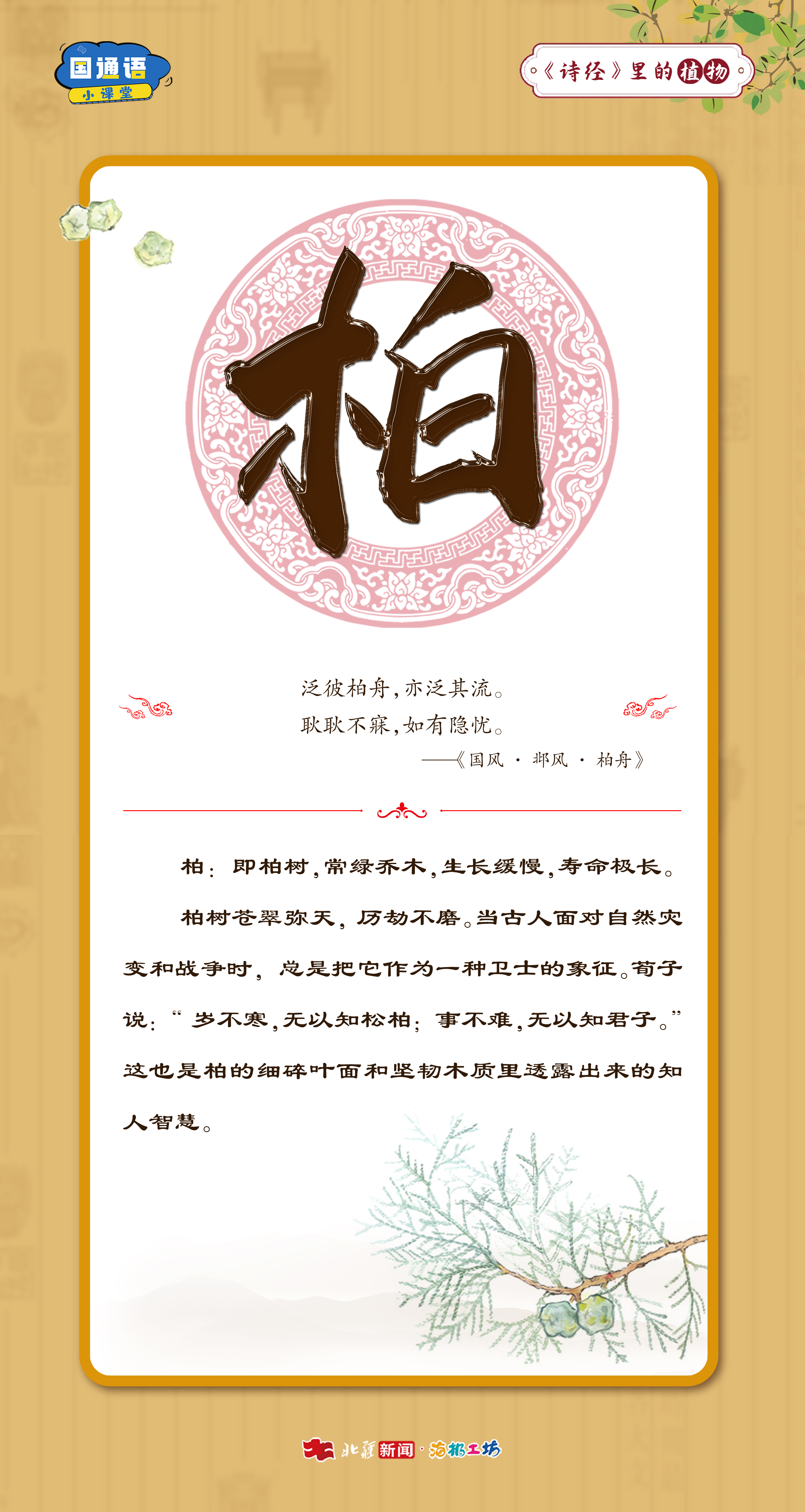 12.16詩(shī)經(jīng)里的植物5.jpg