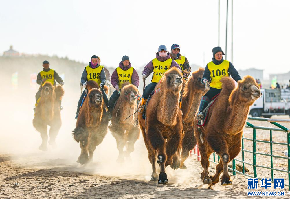 3月7日，賽駝手在6000米成年駱駝場地速度賽比賽中。.jpg