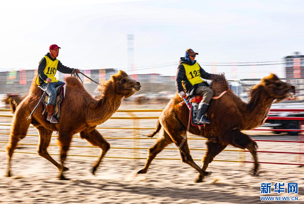 3月7日，賽駝手在6000米成年駱駝場地速度賽比賽中.jpg