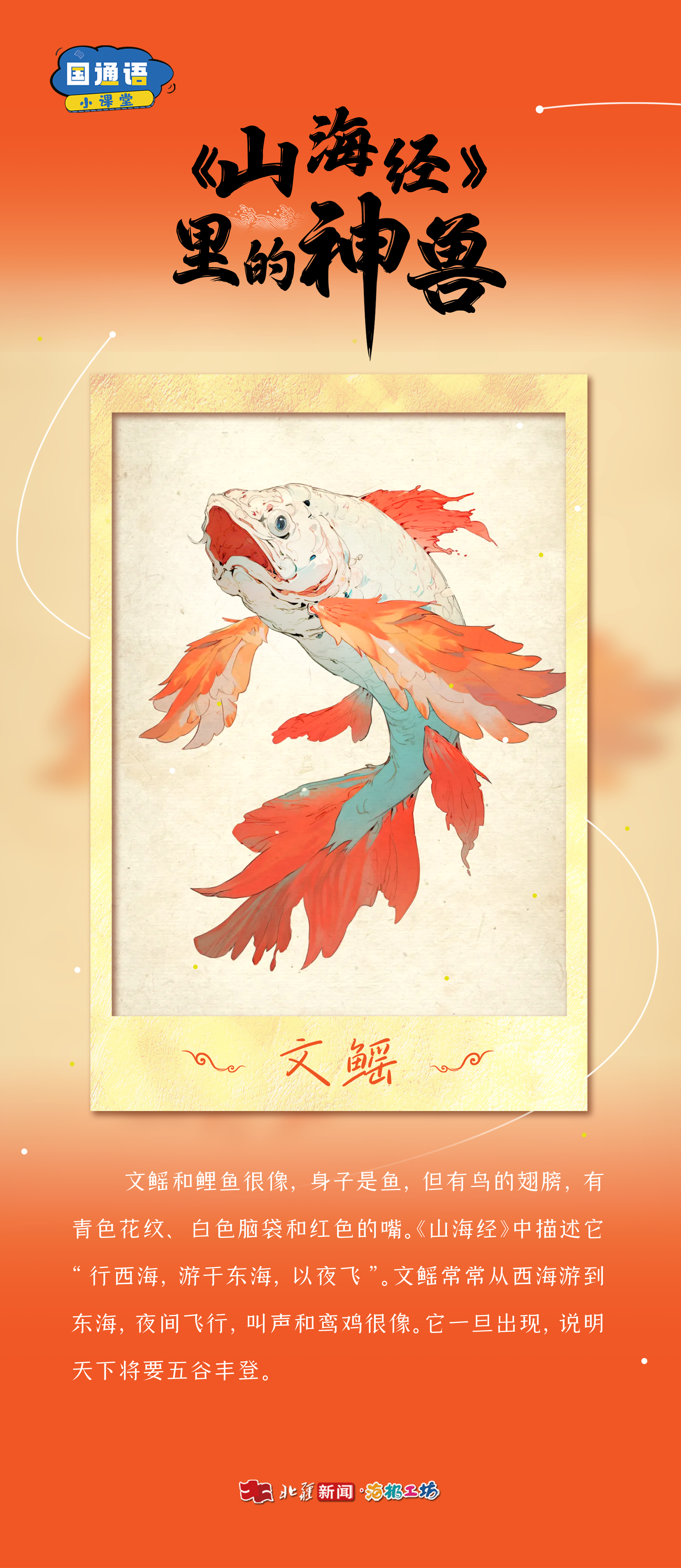 文鰩.jpg