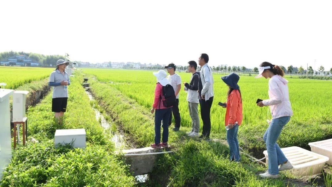 △云南大理古生村科技小院成員在田間調查。