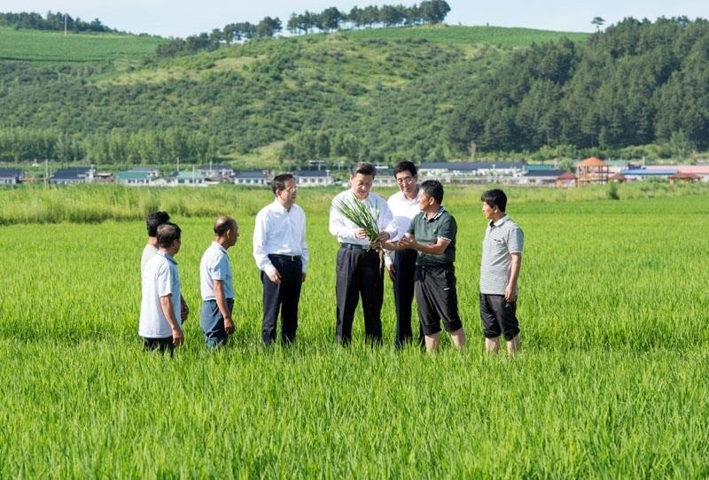 2015年7月16日，習(xí)近平總書記在吉林延邊州光東村稻田同村民和農(nóng)技人員交流。