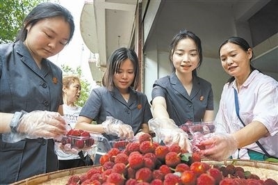 志愿者和村民一起將摘下的楊梅裝進(jìn)食品盒里。