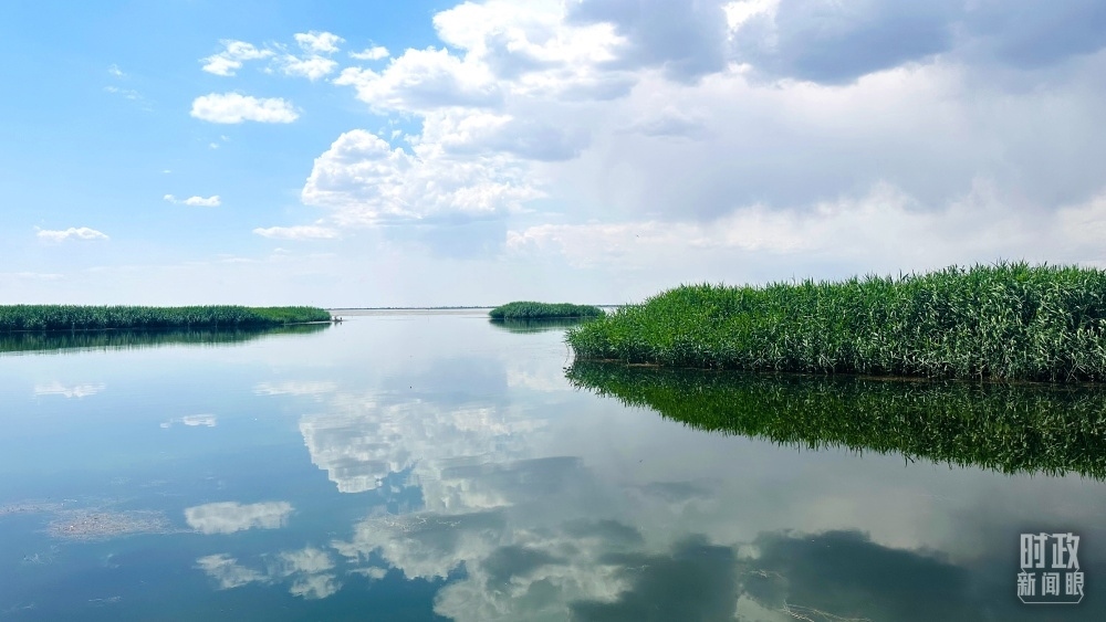內(nèi)蒙古烏梁素海，是黃河流域最大的湖泊濕地。（總臺(tái)央視記者范一鳴拍攝）