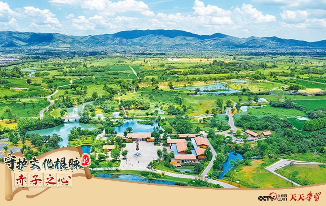 圖為2021年7月拍攝的良渚古城遺址公園。