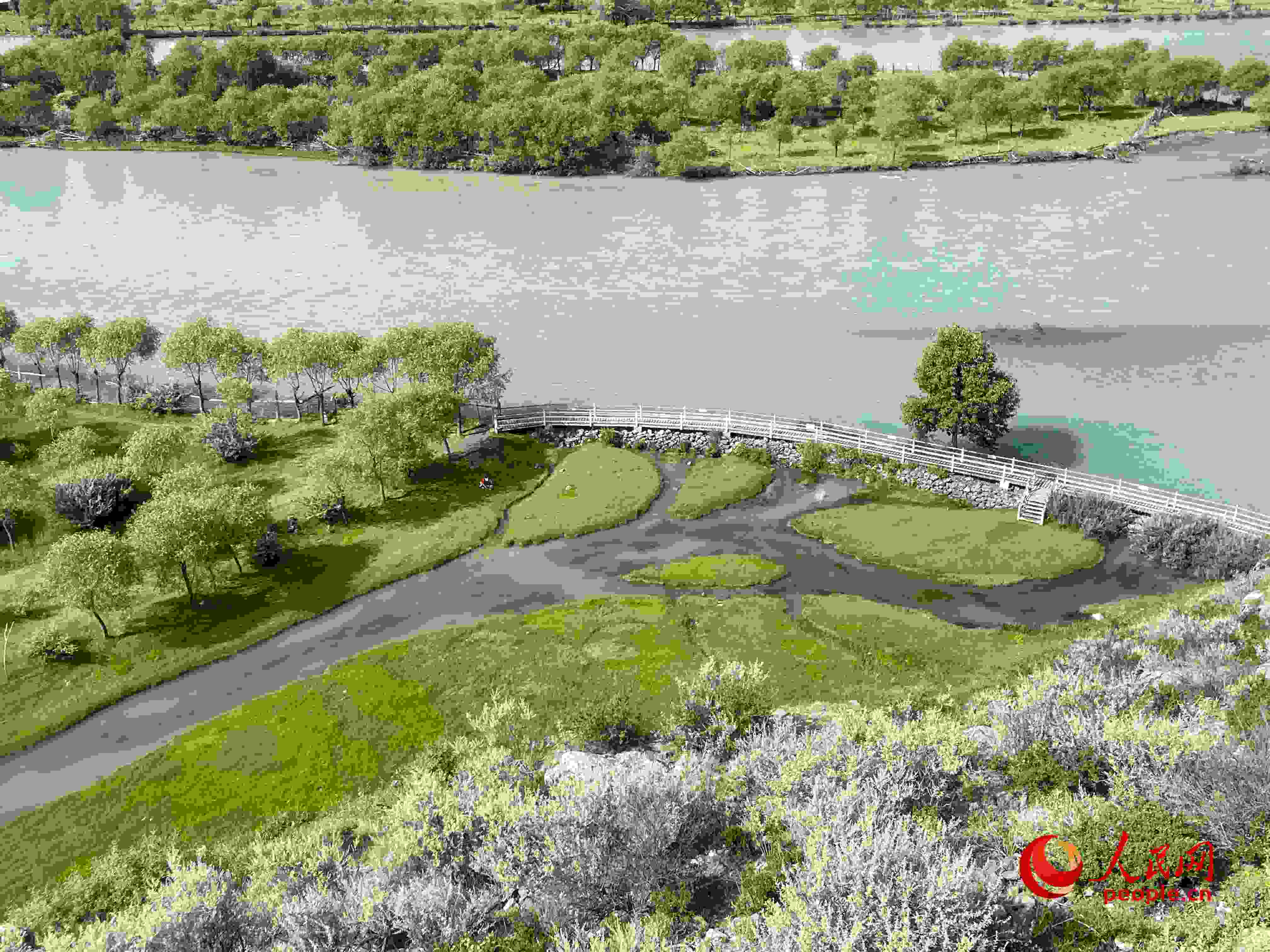 夏日的雅尼國(guó)家濕地公園生機(jī)盎然，如詩(shī)如畫。人民網(wǎng) 周靜圓攝