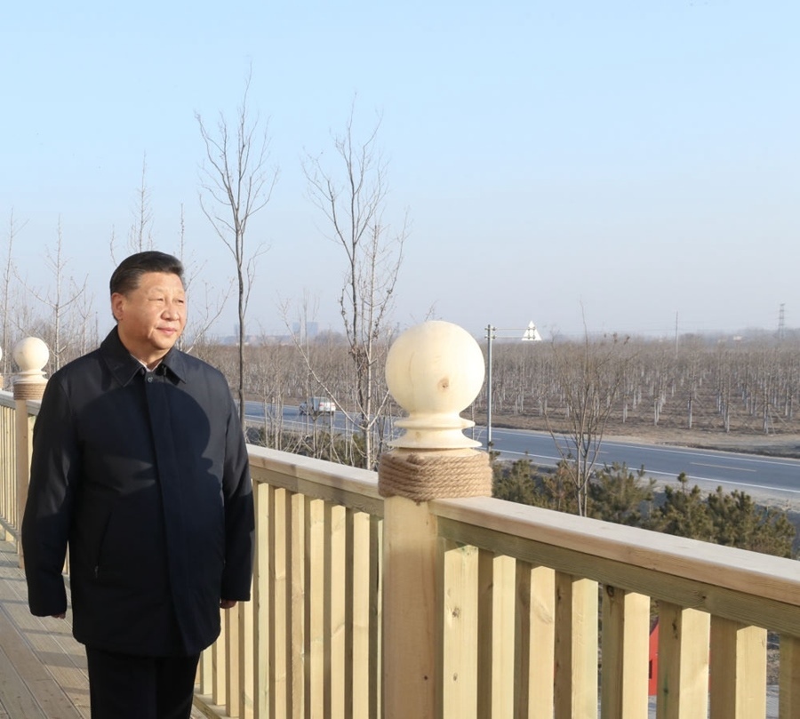 2019年1月16日，習(xí)近平在河北雄安新區(qū)考察調(diào)研。在“千年秀林”大清河片林一區(qū)造林區(qū)域，習(xí)近平登上秀林驛站二層平臺(tái)遠(yuǎn)眺林區(qū)全貌。