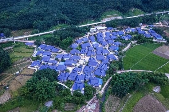 磨憨鎮(zhèn)曼莊村大龍哈小組現(xiàn)代化邊境幸福村新貌。人民網(wǎng)記者 符皓攝