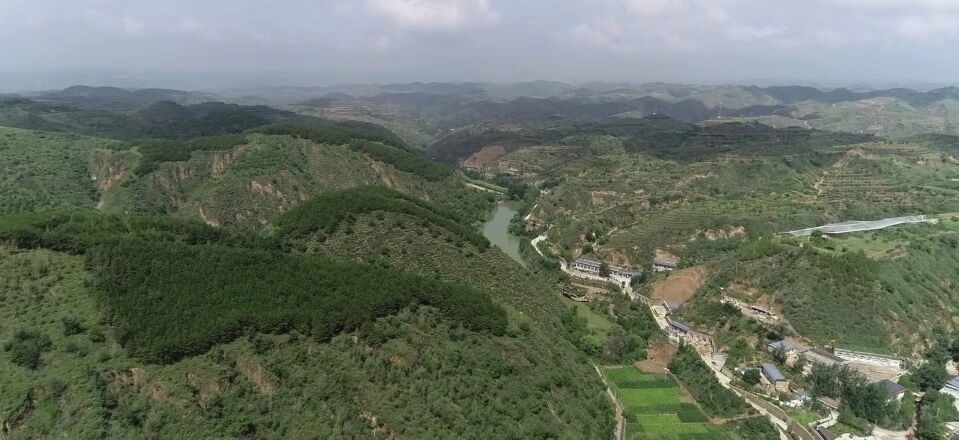 黃土溝壑中的高西溝村滿眼綠色（無(wú)人機(jī)照片，2023年7月26日）。新華社記者陳昌奇 攝
