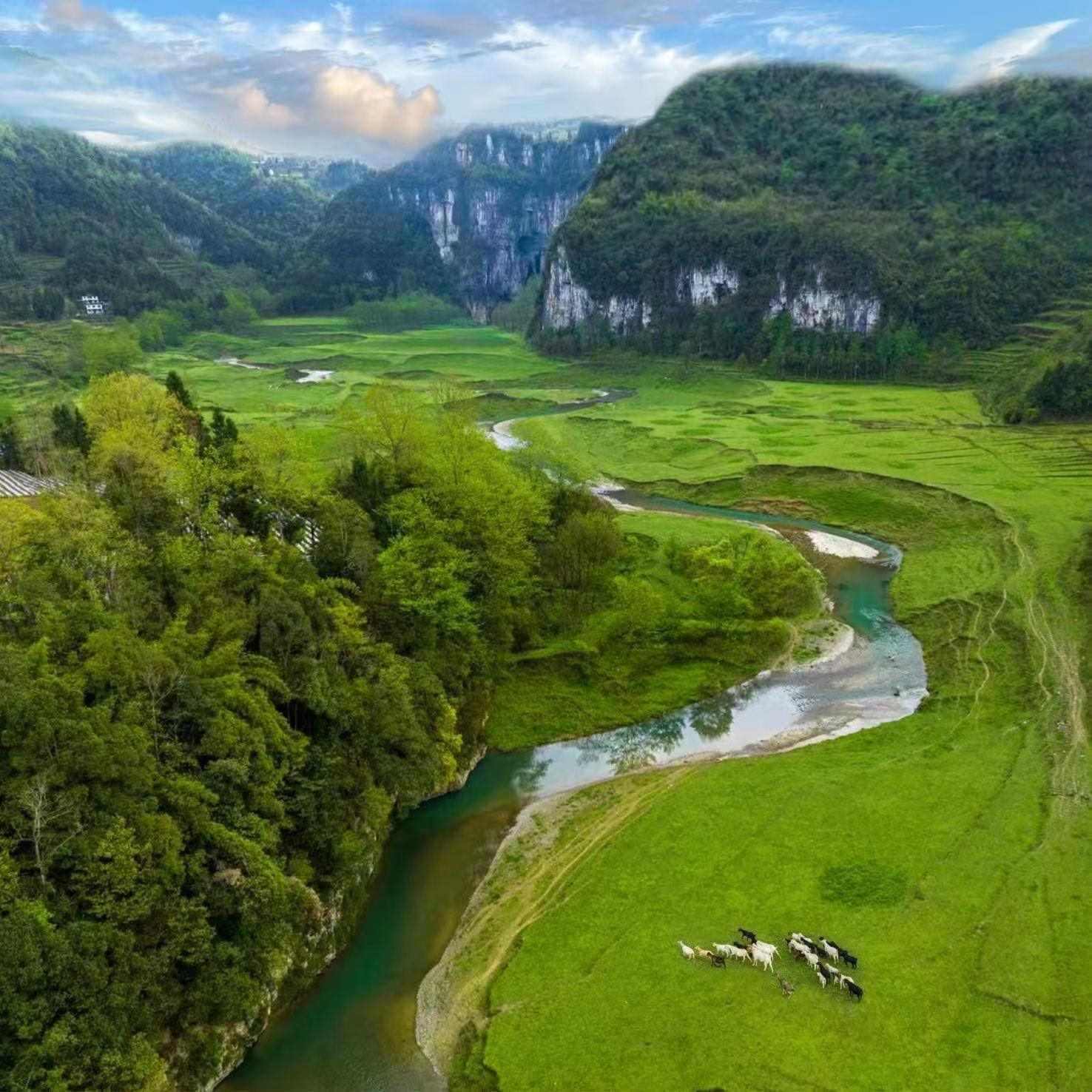 棣棠鄉(xiāng)龍氼孔千畝大草原自駕露營基地。棣棠鄉(xiāng)人民政府供圖