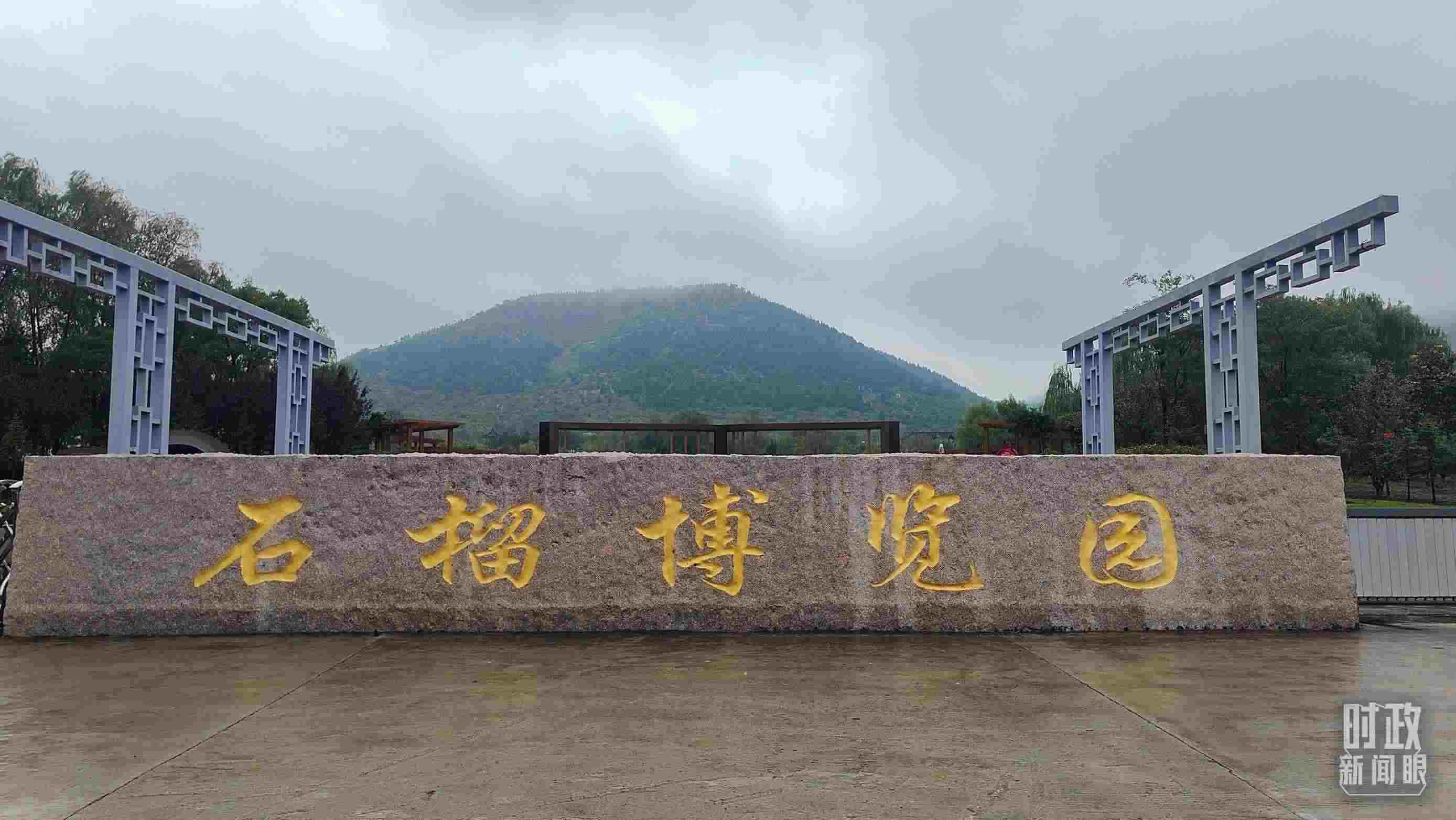 △石榴種質(zhì)資源庫(kù)位于石榴博覽園內(nèi)。（總臺(tái)央視記者楊立峰拍攝）