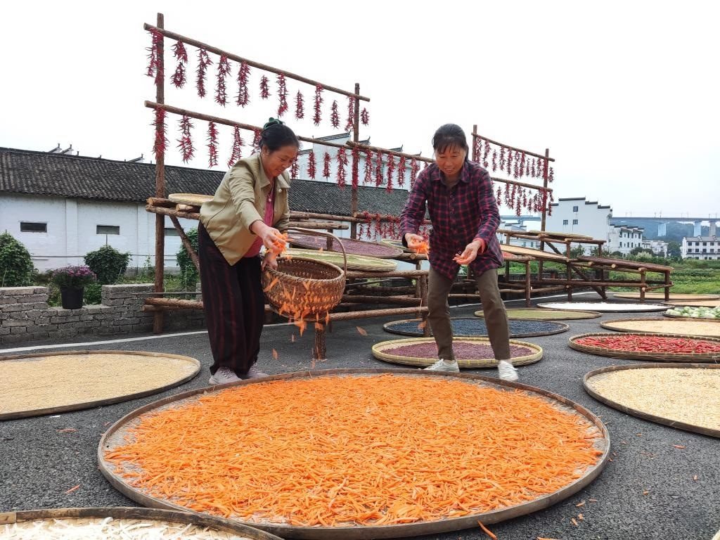 近日，江西省上饒市婺源縣秋口鎮(zhèn)王村的村民正在晾曬農(nóng)作物。新華社記者 劉佳敏 攝