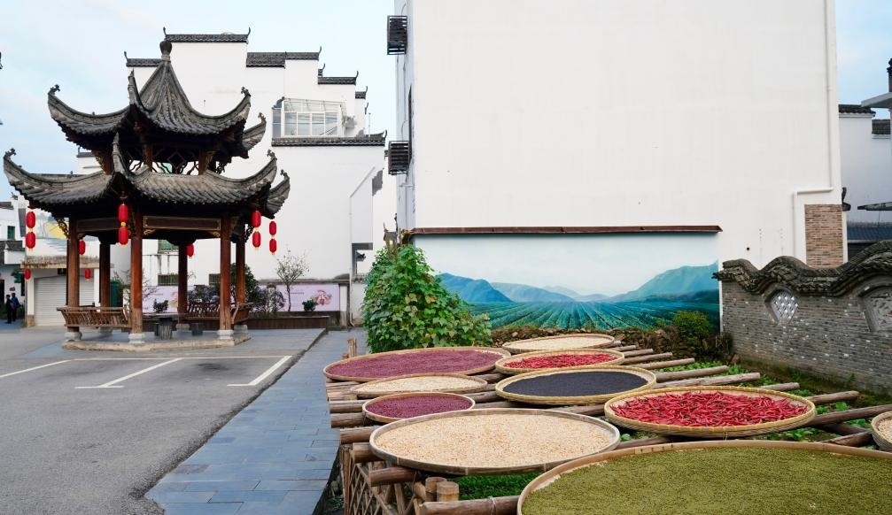 近日拍攝的江西省上饒市婺源縣秋口鎮(zhèn)王村石門自然村曬秋場景。新華社記者 胡晨歡 攝