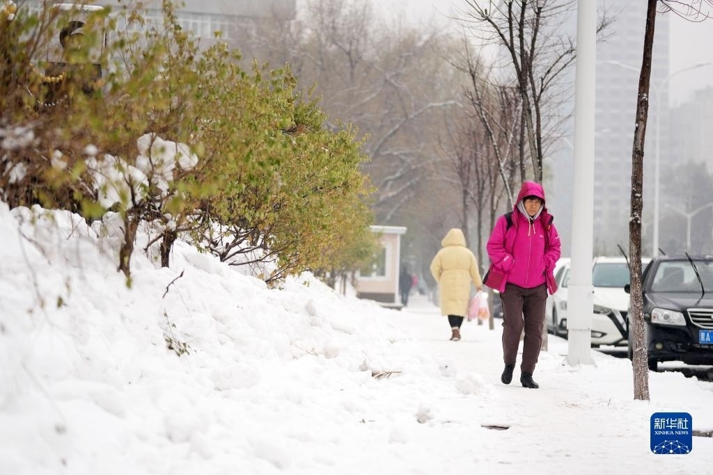 11月16日，市民在雪中前行。當日，黑龍江哈爾濱市迎來雨雪天氣。新華社記者 王建威 攝