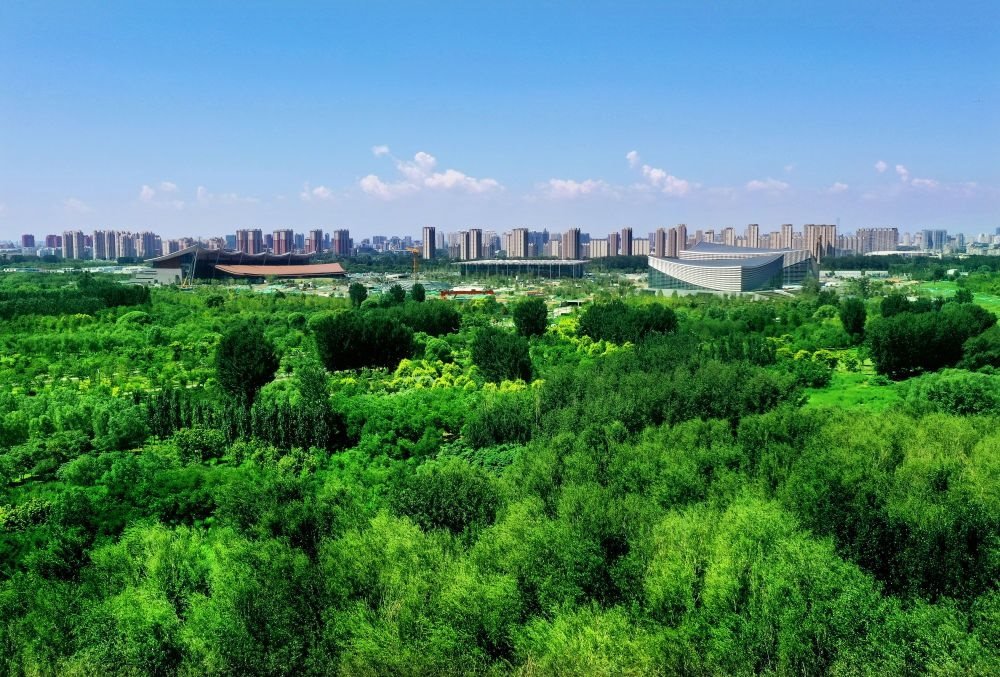 北京東方化工廠舊址建成的綠心公園草木蔥蘢。（馬文曉 攝）
