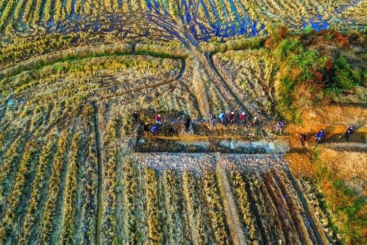 良渚遺址考古發(fā)掘現(xiàn)場。