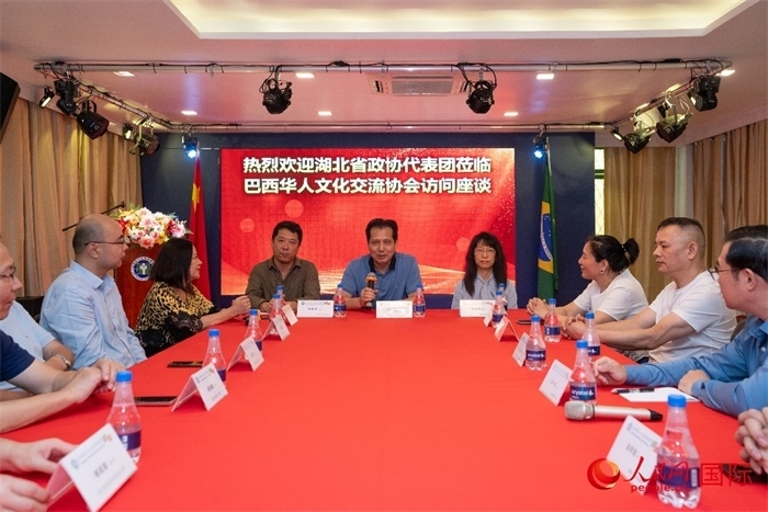 湖北省政協(xié)經(jīng)濟委員會主任王兆民（中）在座談會上致辭。 人民網(wǎng)記者 陳海琪攝