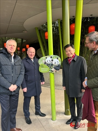 中國駐德國大使吳懇（右二）、柏林市長韋格納（左二）、動物園園長克尼里姆（右一）和監(jiān)事會主席布魯克曼（左一）共同為“夢想”“夢圓”大熊貓紀(jì)念牌揭幕。人民網(wǎng)記者 徐馨攝