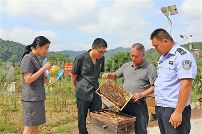  圖②：蒙山法院黃村法庭法官深入蜂蜜合作社，實(shí)地了解蜂農(nóng)需求。