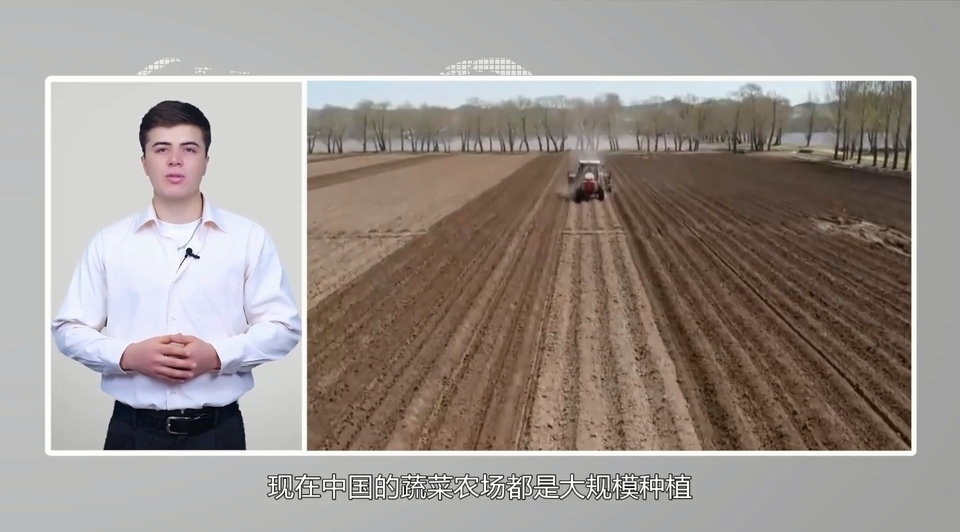 【國際3分鐘】中國大蒜成國家威脅？美政客反智言論背后的問題值得思考_fororder_2