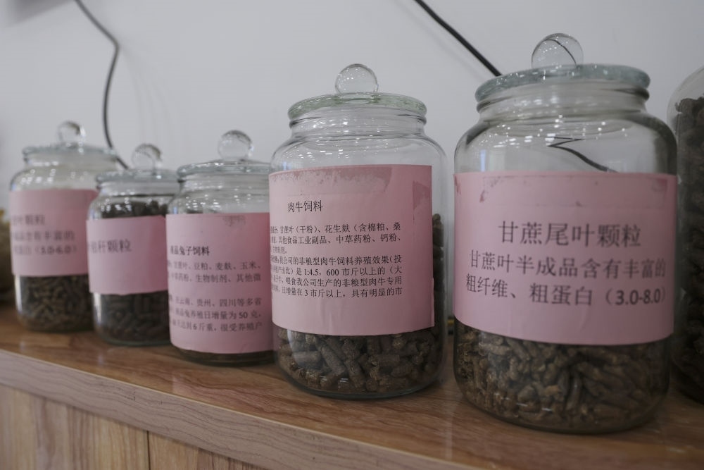 這是12月13日在來賓市興賓區(qū)小平陽鎮(zhèn)一家飼料廠拍攝的以甘蔗尾葉為原料制成的飼料。