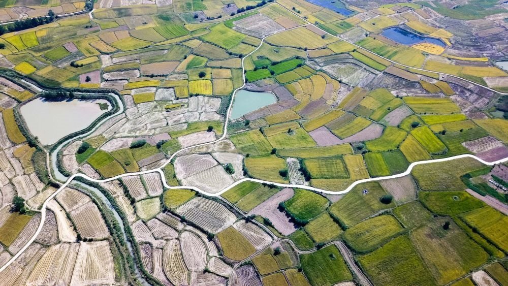 安徽省鳳陽(yáng)縣小崗村的田野景象（2018年9月27日攝，無(wú)人機(jī)照片）。新華社記者 張端 攝
