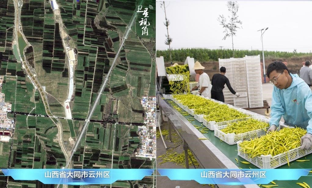 當前，大同市開發(fā)黃花菜品、食品、飲品、功能食品、化妝品、文創(chuàng)產(chǎn)品六大系列130余種，全產(chǎn)業(yè)鏈產(chǎn)值超40億元。