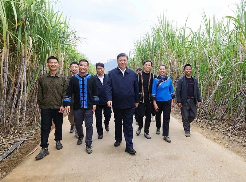 2023年12月14日，習近平總書記在廣西來賓市國家現(xiàn)代農(nóng)業(yè)產(chǎn)業(yè)園黃安優(yōu)質(zhì)“雙高”糖料蔗基地考察。