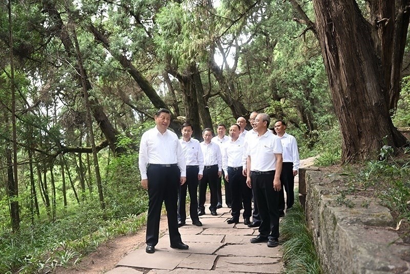 2023年7月25日，習(xí)近平總書(shū)記在四川廣元市劍閣縣翠云廊考察。新華社記者 謝環(huán)馳 攝