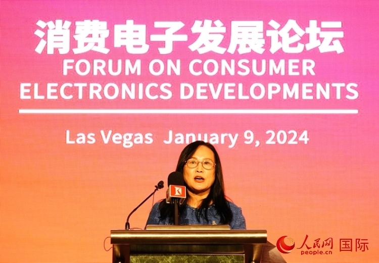 中國機電產(chǎn)品進出口商會副會長劉春致辭。人民網(wǎng)記者 鄧圩攝