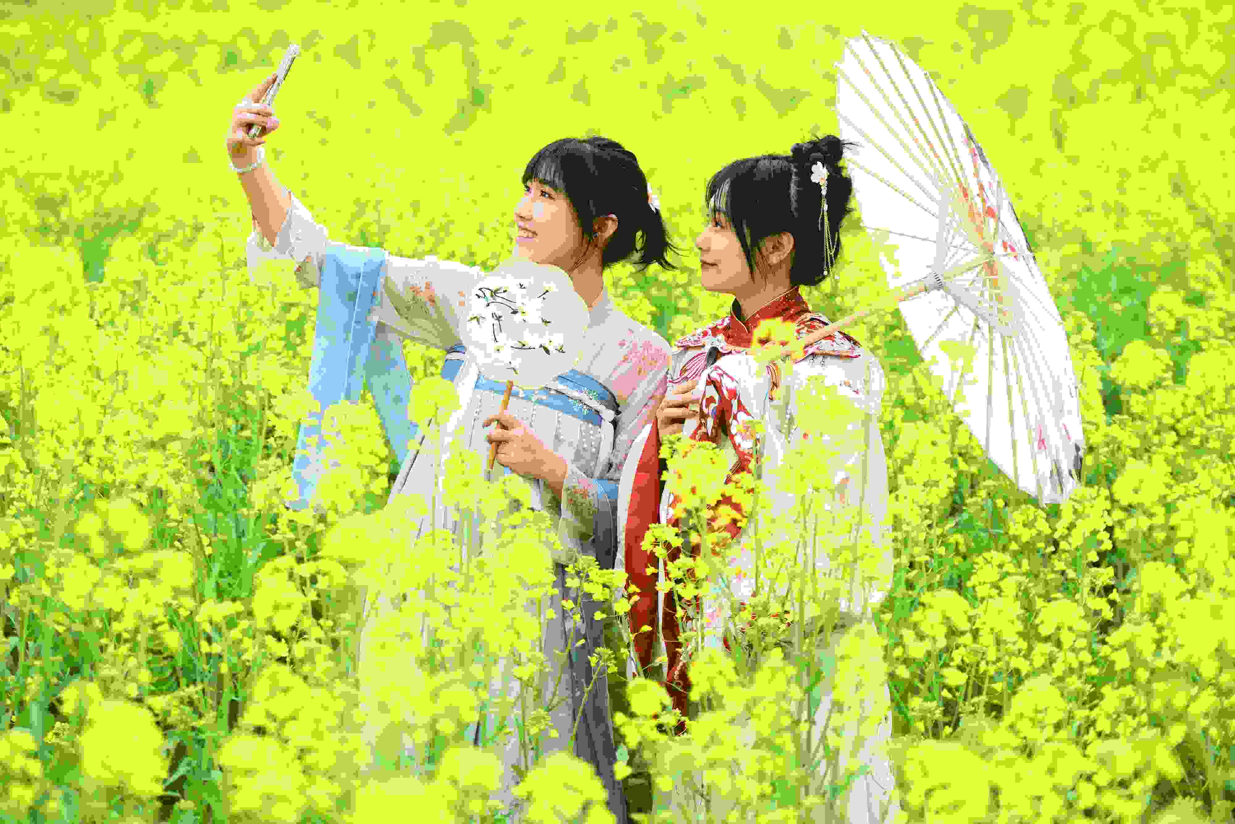 △ 2024年2月16日，廣西賀州，在富川瑤族自治縣麥嶺鎮(zhèn)三民村，游客在油菜花田間賞花拍照。