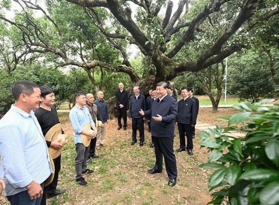 2023年4月11日，習近平總書記在廣東茂名高州市根子鎮(zhèn)柏橋村荔枝種植園，同現(xiàn)場技術(shù)人員親切交流。