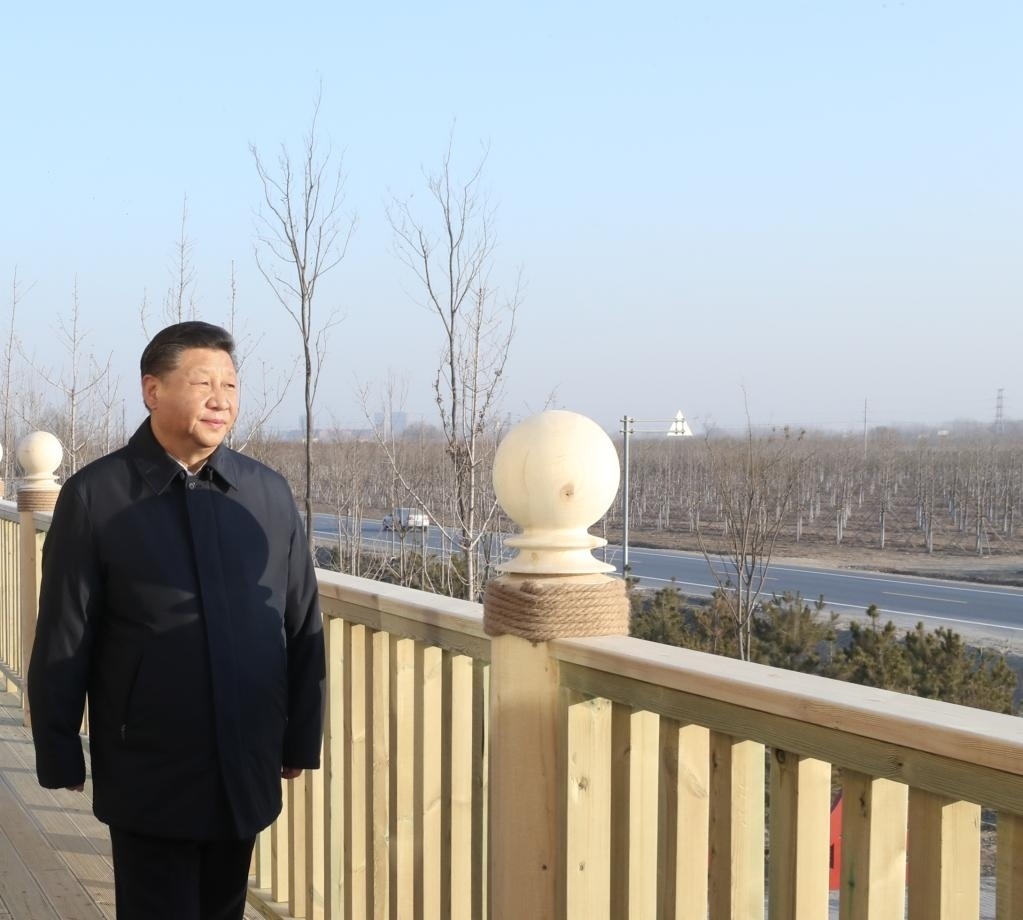 2019年1月16日，在河北雄安新區(qū)“千年秀林”大清河片林一區(qū)造林區(qū)域，習(xí)近平總書(shū)記登上秀林驛站二層平臺(tái)遠(yuǎn)眺林區(qū)全貌。新華社記者 鞠鵬 攝