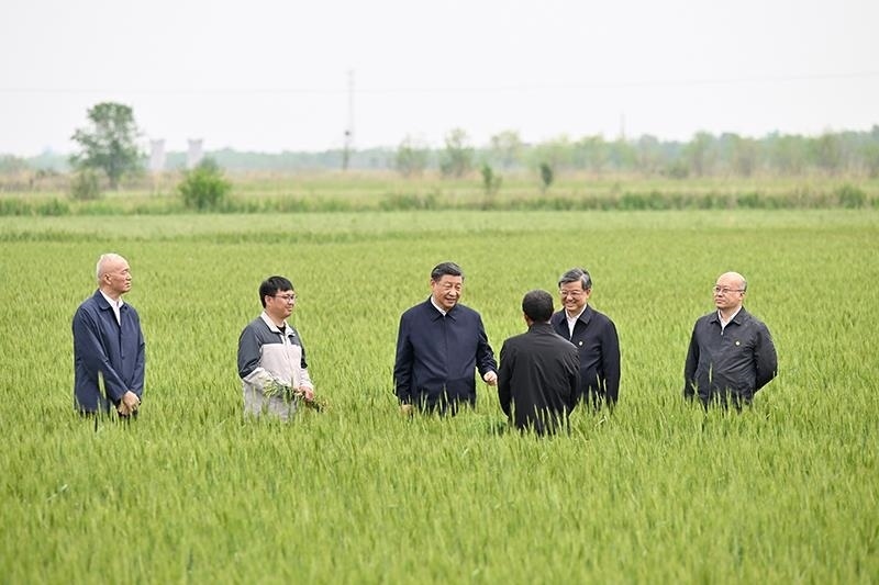 △2023年5月11日，習(xí)近平總書記在河北滄州黃驊市舊城鎮(zhèn)仙莊片區(qū)旱堿地麥田同種植戶、農(nóng)技專家親切交流。