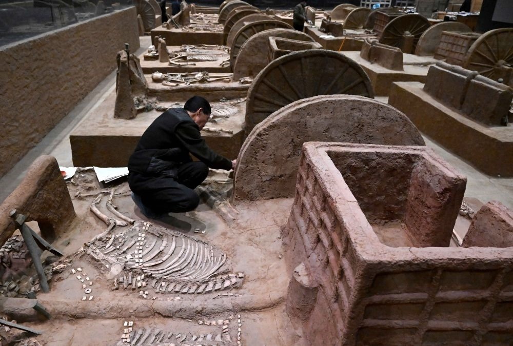 工作人員在殷墟博物館新館的展廳內(nèi)修復車馬遺跡（2月23日攝）。