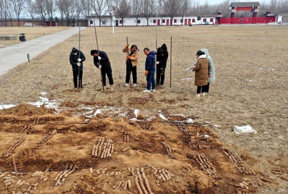 在殷墟王陵遺址，工作人員在勘探圍溝范圍（2月24日攝）。
