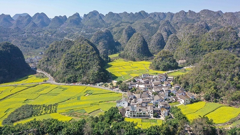 2024年2月17日，貴州省興義市萬峰林景區(qū)的油菜花海景色（無人機照片）。