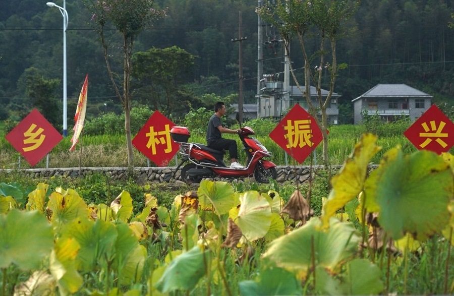 2023年8月24日拍攝的江西省靖安縣璪都鎮(zhèn)港背村一景。該村在當?shù)卣С窒?，修古建，建民宿，搞開發(fā)，引進竹筏漂流、觀光采摘、農(nóng)耕體驗、森林研學等多種旅游業(yè)態(tài)，建成新田園生態(tài)度假小鎮(zhèn)，發(fā)展鄉(xiāng)村旅游，走上致富路。