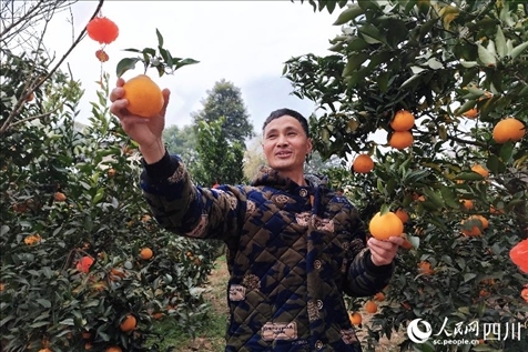 鐵牛村村民趙光進(jìn)。人民網(wǎng)記者 朱虹攝