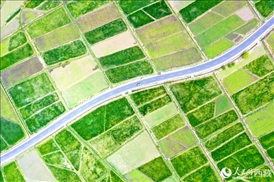 無人機視角下的西藏山南市瓊結(jié)農(nóng)田。人民網(wǎng)記者 次仁羅布攝