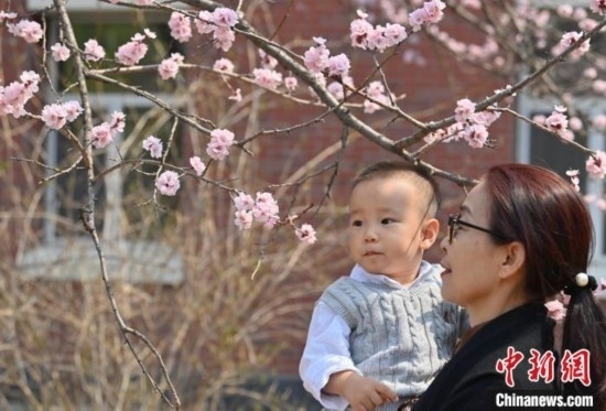 4月21日，游客在吉林大學(xué)南嶺校區(qū)賞花。張瑤 攝