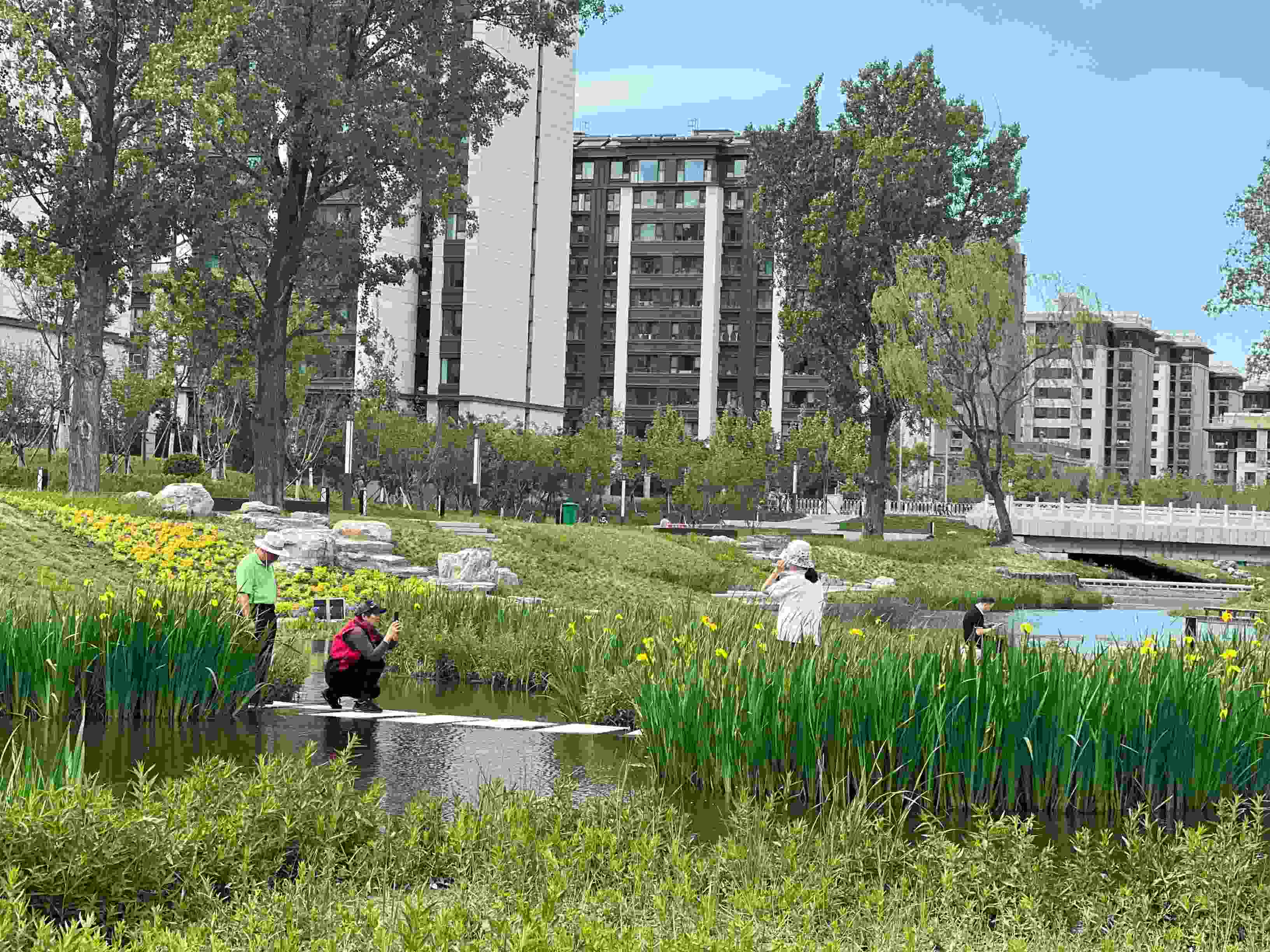 五一渠生態(tài)濱河公園內(nèi)，市民正在拍照留念。人民網(wǎng) 歐陽(yáng)易佳攝